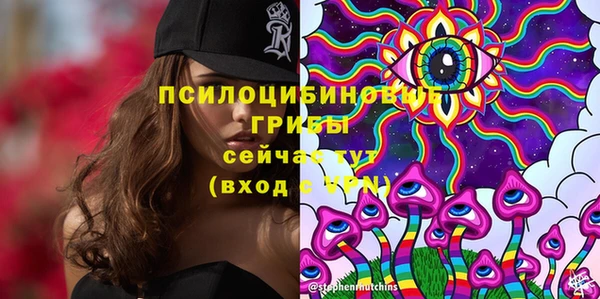 мяу мяу мука Белокуриха