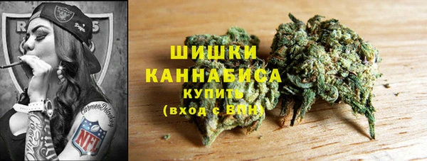 ПСИЛОЦИБИНОВЫЕ ГРИБЫ Белоозёрский