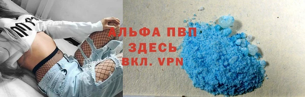 ПСИЛОЦИБИНОВЫЕ ГРИБЫ Белоозёрский