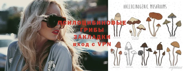 крисы Покровск